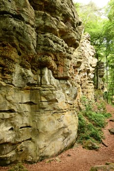 Big rock cliff, bushes and moss in a German forest