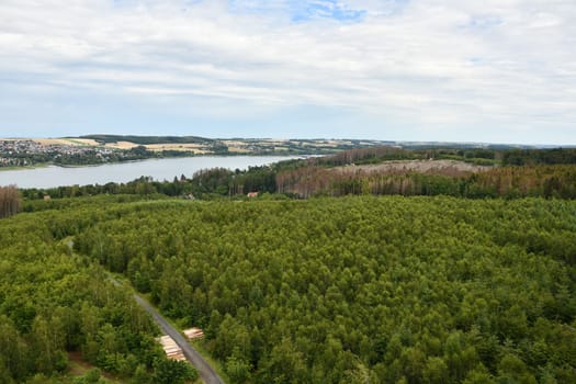 Dying forest of diseased trees with bark beetle infestation at Moehnesee, Germany