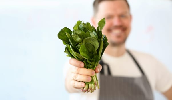Smiling cook is holding lettuce or sorrel leaves. Benefits of vegetarian food concept