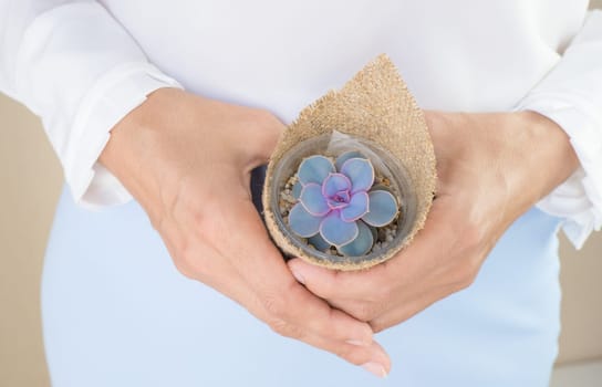 A woman in a white blouse holds in her hands a small pot of Echeveria Perle von Nuremberg in burlap.