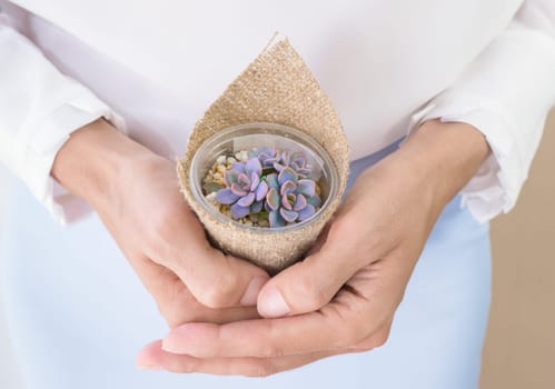 A woman in a white blouse is holding a small pot of echeveria Debbie succulent in burlap