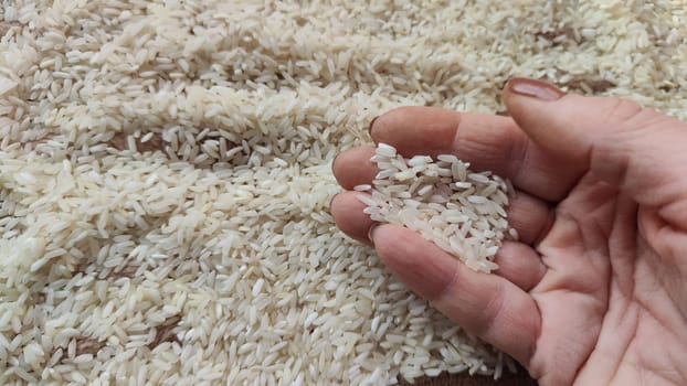 White cereals rice and hand of woman in it. Food for background and texture. Product and food which can be stored for a long time. Partial focus