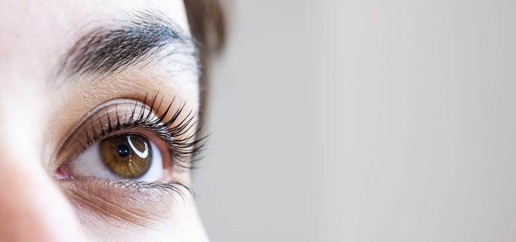 Close-up of a woman's eye after an eyelash lamination procedure