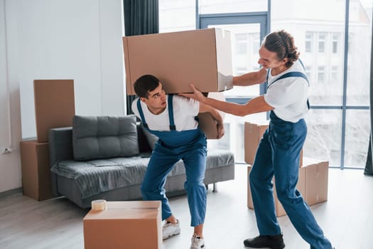Heavy boxes. Two young movers in blue uniform working indoors in the room.