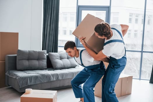 Heavy boxes. Two young movers in blue uniform working indoors in the room.