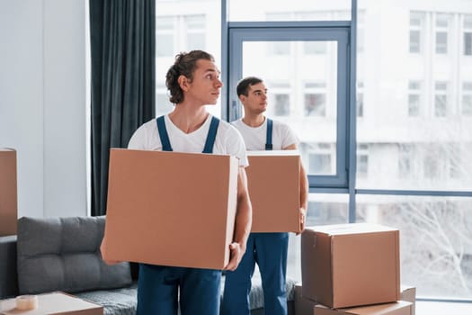 With boxes in hands. Two young movers in blue uniform working indoors in the room.
