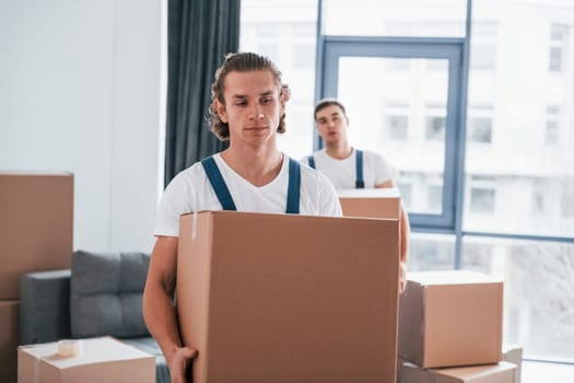 With boxes in hands. Two young movers in blue uniform working indoors in the room.