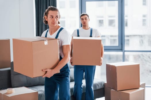 With boxes in hands. Two young movers in blue uniform working indoors in the room.