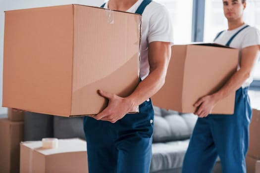 With boxes in hands. Two young movers in blue uniform working indoors in the room.