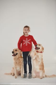 Little girl is with two Golden retrievers in the studio against white background.