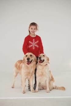 Little girl is with two Golden retrievers in the studio against white background.