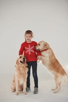 Little girl is with two Golden retrievers in the studio against white background.