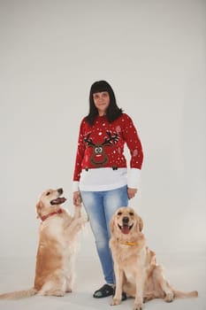 Woman is with her two Golden retrievers in the studio against white background.