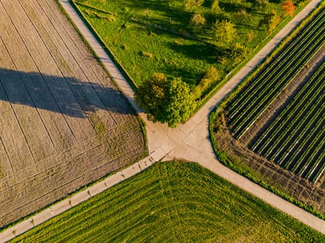 Aerial view of a crossroads between farmland and fields in autumn