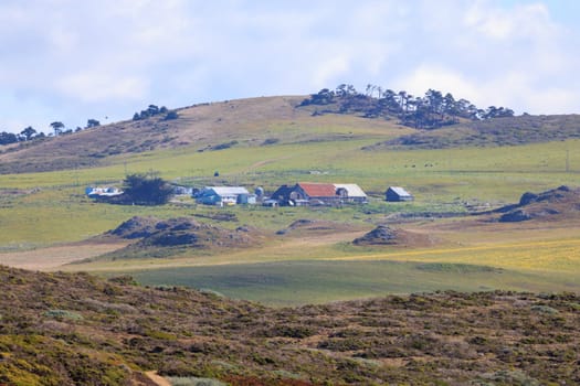 Traditional American cattle ranch on rolling green hills of California. High quality photo