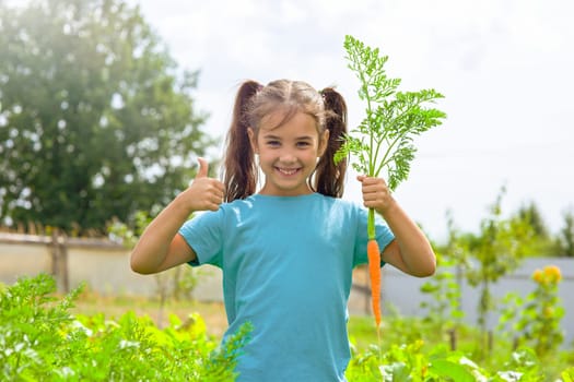 Smiling little girl in green t-shirt holding fresh carrot and showing thumbs up, standing in the garden on a sunny day. Copy space