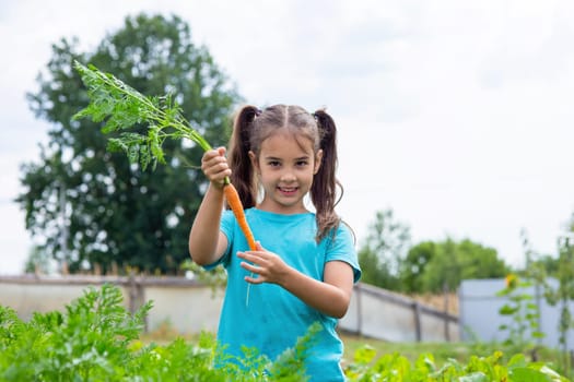 Cute little girl in green t-shirt holding fresh carrot and showing thumbs up, standing in the garden on a sunny day. Copy space