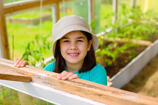 Portrait of a happy little girl in a white panama, looks out of the window of a wooden vegetable greenhouse, in summer, on a sunny day