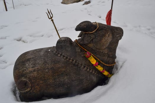 Nandi the sacred bull calf, gatekeeper, vehicle of the Hindu god Shiva. Sculptures of Nandi are a common sight at Hindu temples dedicated to his master.