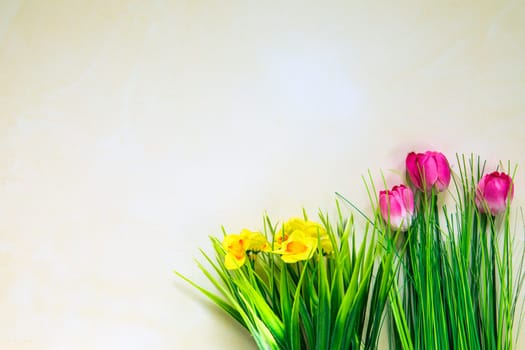 Spring nature background with lovely blossom pink tulips and yellow daisys bright pastel color background, top view, banner. Springtime concept copy space space for text