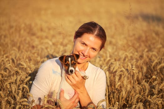 Young woman holding Jack Russell terrier puppy on her hand, afternoon sun lit wheat field behind.