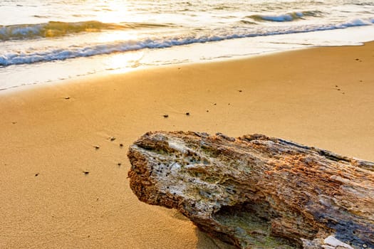 Beach during summer sunset on the tropical island of Ilhabela, north coast of Sao Paulo