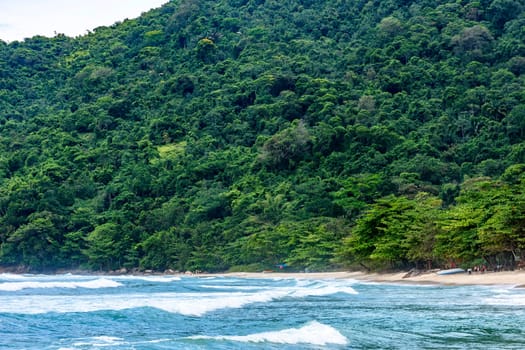 Beautiful paradise beach surrounded by rainforest in Trindade, municipality of Paraty, Rio de Janeiro