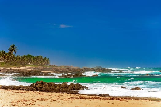 Famous Itapua beach in Salvador Bahia with waves crashing against the reefs and palm trees in the background