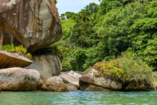 Forest meeting with rocks and the sea in Trindade, Paraty, coast of the state of Rio de Janeiro