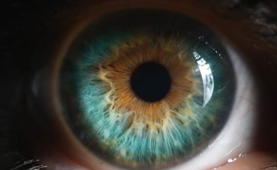 Closeup of green human eye in low light technique. Hyperopia, myopia, astigmatism and laser vision correction