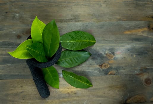 Fresh bay leaf in a mortar on the wooden table. Shot in the studio. Copy space.