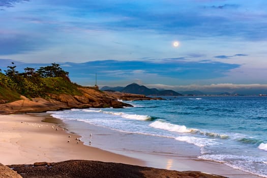 Seagulls resting on the beach at dusk with the moon hovering over the Ipanema Sea, Rio de Janeiro