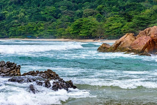 Stunning beach surrounded by rainforest in Trindade, municipality of Paraty, Rio de Janeiro