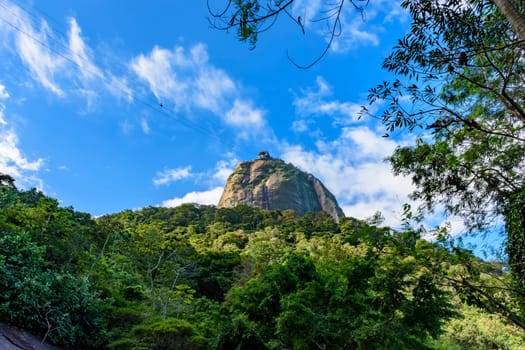 Sugarloaf Mountain seen through the rainforest vegetation on the hills of Rio de Janeiro, Brazil