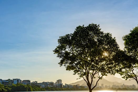 Summer sunset with city buildings and blue sky in the background at Rodrigo de Freitas Lagoon in Rio de Janeiro, Brazil