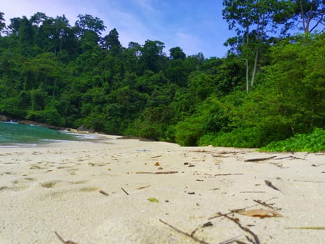 Sands against the forest and sky on the Teluk Ijo beach, Banyuwangi. Nature and landscape photography.