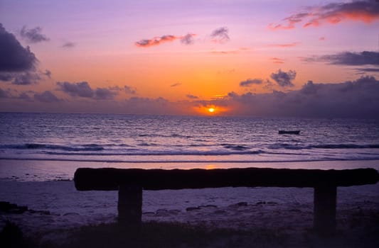 Kiwengwa beach, Zanzibar, Tanzania, Africa