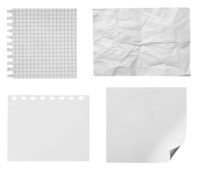 collection of various ripped pieces of paper on white background. each one is shot separately