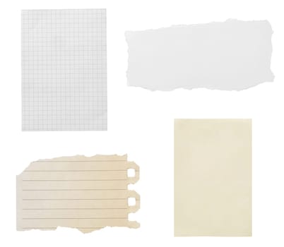 collection of various ripped pieces of paper on white background. each one is shot separately