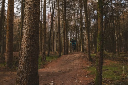 Mountain bikers . High quality photo