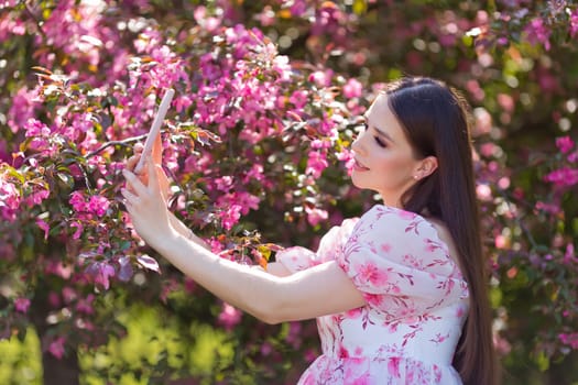 A beautiful brunette girl with long hair is standing in a pink blooming apple garden, on a sunny day, holding a pink smartphone, makes selfie. Close up
