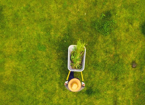 A young man with hands in gloves is carrying a metal garden cart through his beautiful green blooming garden. A professional gardener is carrying a wheelbarrow full of grass