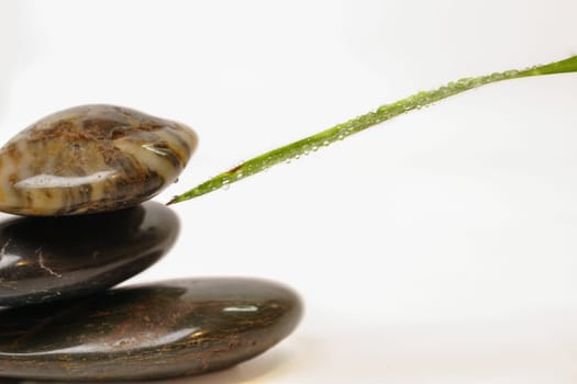 green leaf with dewdrops and stacked stones, zen image isolated on white background