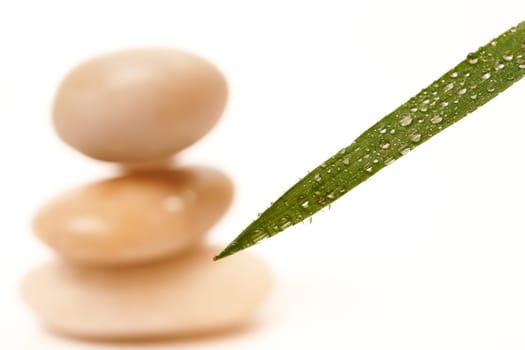 green leaf with dewdrops and stacked stones, zen image isolated on white background