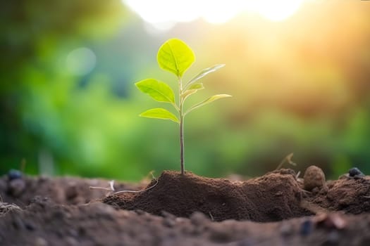 Young green plant growing at sunlight in the garden. World Earth Day banner. Save world concept.