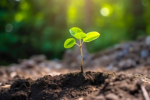 Young green plant growing at sunlight in the garden. World Earth Day banner. Save world concept.