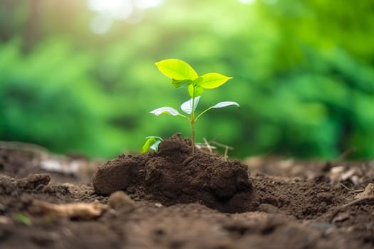 Young green plant growing at sunlight in the garden. World Earth Day banner. Save world concept.