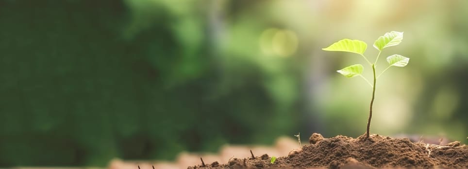 Young green plant growing at sunlight in the garden. World Earth Day banner. Save world concept.