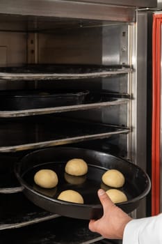 Cook putting dough for hamburger buns in professional leavening machine