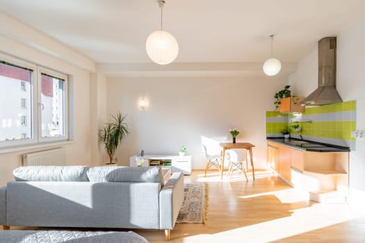living room with kitchen in an apartment building. High quality photo